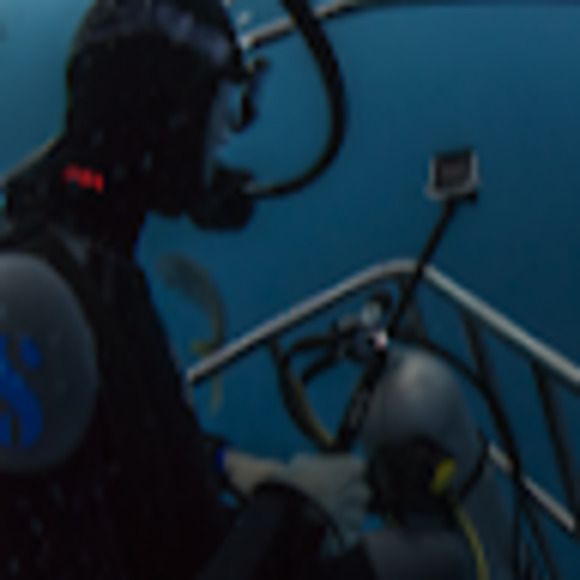 Meet the Posher Other - Meet your Posher, Evan